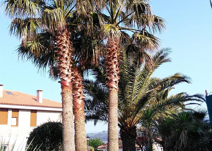 Galimar 2* 圣维森特-德拉巴尔克拉